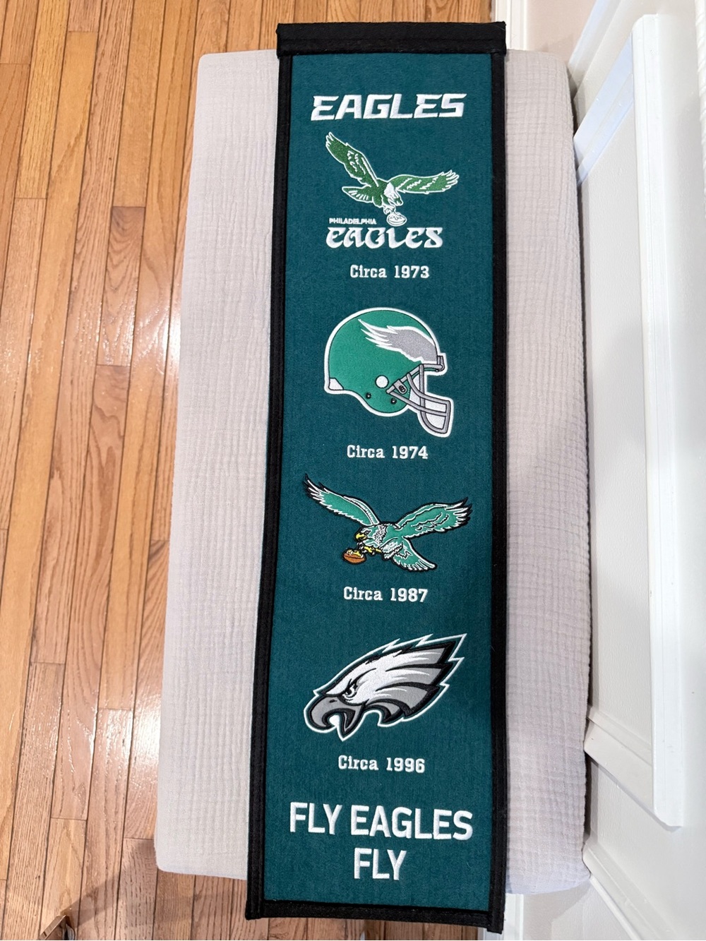 Philadelphia Eagles Evolution 8x32 Inch Vertical Wool Embroidered Hanging Banner